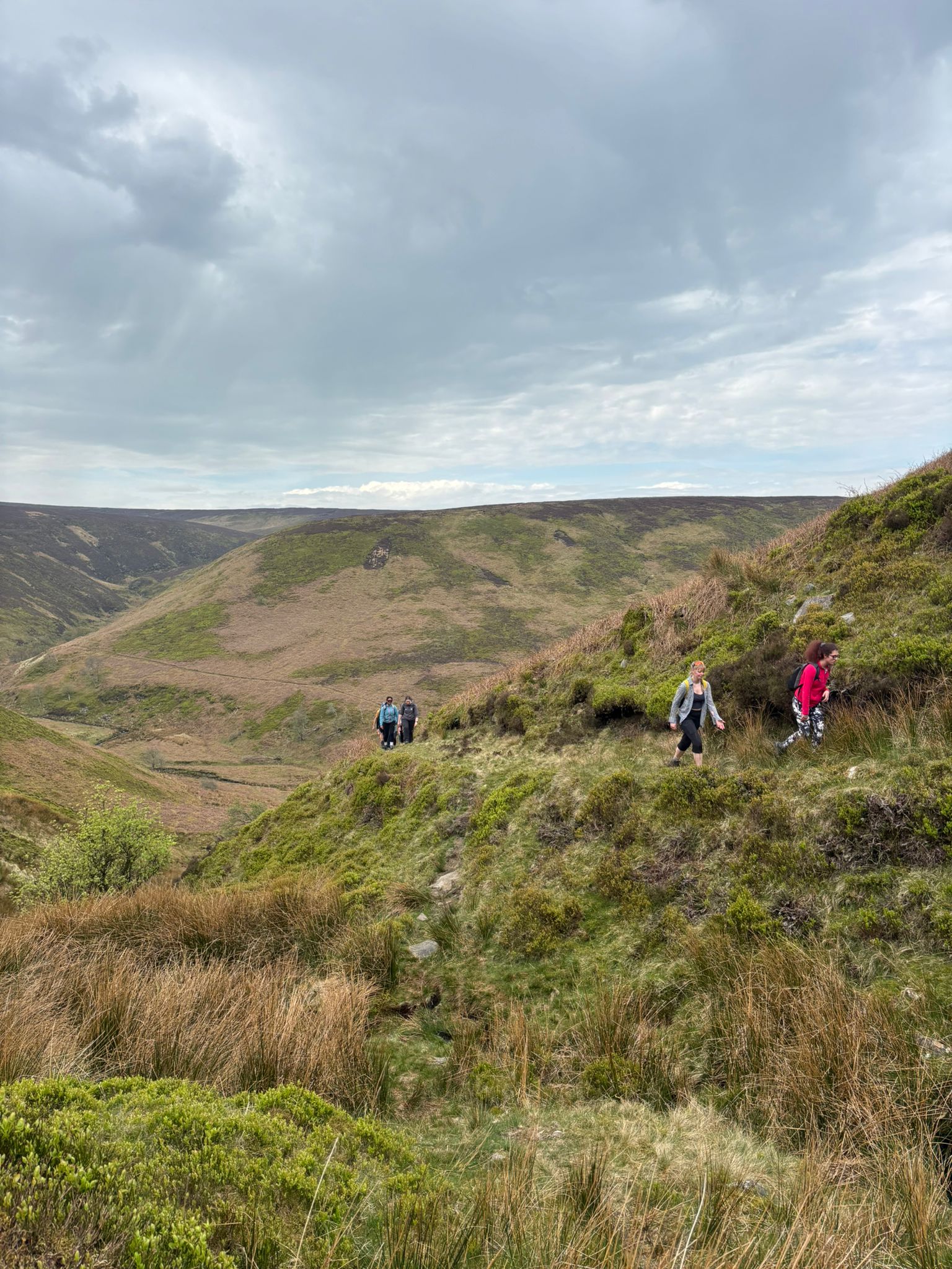 Mountain Rescue training in natural terrain
